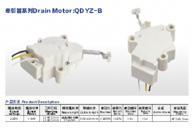 Drain Motor QDYZ-B