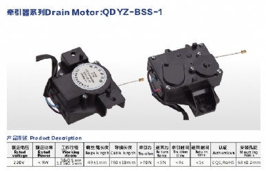 Drain Motor QDYZ-BSS-2