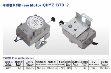 Drain Motor QDYZ-BTD-2A